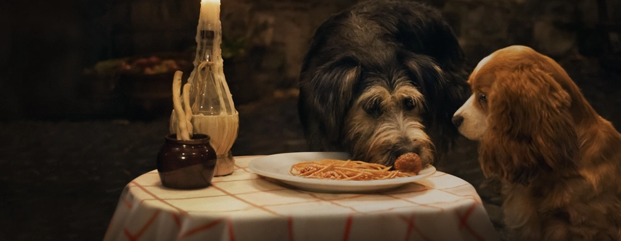 Леди и бродяга